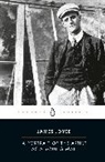Seamus Deane, James Joyce, Seamus Deane - A Portrait Of The Artist As A Young Man