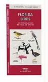 James Kavanagh, Waterford Press, Raymond Leung - Florida Birds: A Folding Pocket Guide to Familiar Species
