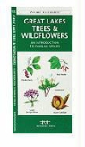 James Kavanagh, Waterford Press, Raymond Leung - Great Lakes Trees & Wildflowers