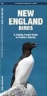 James Kavanagh, Waterford Press, Raymond Leung, Waterford Press - New England Birds: A Folding Pocket Guide to Familiar Species
