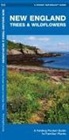 James Kavanagh, Waterford Press, Raymond Leung, Waterford Press - New England Trees & Wildflowers: A Folding Pocket Guide to Familiar Species
