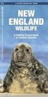 James Kavanagh, Waterford Press, Raymond Leung - New England Wildlife: A Folding Pocket Guide to Familiar Species
