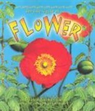 Molly Aloian, Amanda Bishop, Bobbie Kalman - Flower
