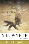 David Michaelis - N. C. Wyeth