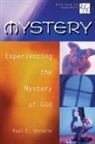 Paul E. Stroble, Abingdon Press - 20/30 Bible Study for Young Adults Mystery