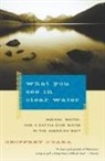 Geoffrey O'Gara - What You See in Clear Water
