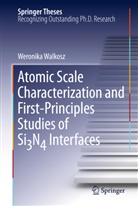 Weronica Walkosz, Weronika Walkosz - Atomic Scale Characterization and First-Principles Studies of Si N  Interfaces