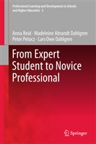 Madelein Abrandt Dahlgren, Madeleine Abrandt Dahlgren, L Dahlgren, Lars Owe Dahlgren, Peter Petocz, Ann Reid... - From Expert Student to Novice Professional