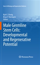 Kyl E Orwig, Kyle E Orwig, Brian P. Hermann, Kyle E. Orwig, P Hermann, P Hermann - Male Germline Stem Cells