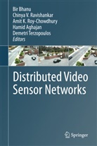 Hamid Aghajan, Bir Bhanu, Amit K Roy-Chowdhury et al, Chinya V. Ravishankar, Amit K. Roy-Chowdhury, Demetri Terzopoulos... - Distributed Video Sensor Networks