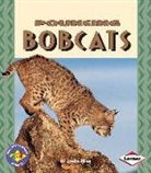 Joelle Riley - Pouncing Bobcats