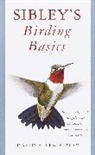 David Allen Sibley - Sibley's Birding Basics