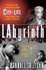 Randall Sullivan - Labyrinth