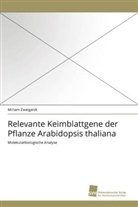 Miriam Zweigardt - Relevante Keimblattgene der Pflanze Arabidopsis thaliana