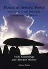 Vicki Cummings, A. W. R. Whittle, Alasdair Whittle - Places of Special Virtue: Megaliths in the Neolithic Landscapes of Wales