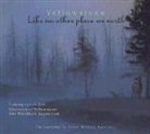 David Peterson, David W. Peterson, Farcountry Press - Yellowstone: Like No Other Place on Earth