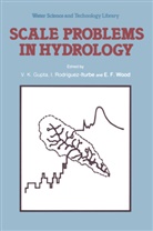 E F Wood, V. K. Gupta, Rodriguez-Iturbe, I Rodriguez-Iturbe, I. Rodriguez-Iturbe, E. F. Wood... - Scale Problems in Hydrology