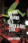 Jacob Slichter - So You Wanna Be a Rock & Roll Star