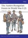 Peter Jung, Darko Pavlovic - Austro-Hungarian Forces in World War I Part 2