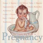 Katrina Fried, Lena Tabori, Alice Wong, Katrina Fried, Lena Tabori - The Little Big Book of Pregnancy