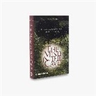 David Lewis-Williams, David J. Lewis-Williams, J. David Lewis-Williams - The Mind in The Cave (Paperback)