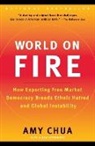 Amy Chua - World on Fire