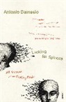 Antonio Damasio, Antonio R Damasio, Antonio R. Damasio, Damasio Antonio - Looking for Spinoza