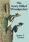 James T. " "Tanner, James T. Tanner, James T. ' 'Tanner - The Ivory-Billed Woodpecker