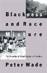 Peter Wade, Peter (University of Manchester) Wade - Blackness and Race Mixture