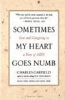 Charles Garfield, Robert Ed Garfield, Robert Ed. Garfield, Cindy Spring - Sometimes My Heart Goes Numb