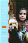 Lauralee Summer, Summer Lauralee - Learning Joy from Dogs Without Collars
