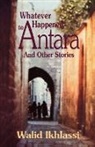 Walid/ Sallah Ikhlasi, Walid Ikhlassi - Whatever Happened to Antara?