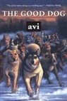 Avi - The Good Dog