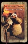 Jonathan Carroll - Sleeping Flame
