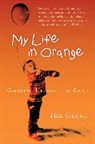 Tim Guest - My Life in Orange