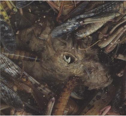Hessian - Manegarmr