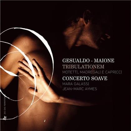 Mara Galassi, Jean-Marc Aymes, Carlo Gesualdo (1566-1613) & Concerto Soave - Tribulationem