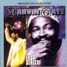 Marvin Gaye - In Concert