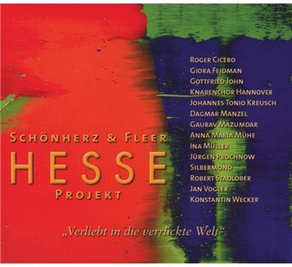 Schönherz & Fleer - Hesse Projekt Vol.2:Verliebt In Die Verrückte Welt