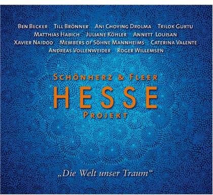 Schönherz & Fleer - Hesse-Projekt