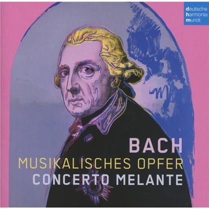 Concerto Melante & Johann Sebastian Bach (1685-1750) - Musikalisches Opfer