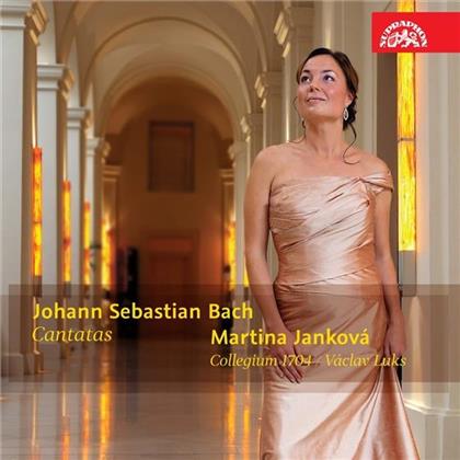 Johann Sebastian Bach (1685-1750), Vaclav Luks, Martina Jankova & Collegium 1704 - 3 Kantaten für Solosopran - Cantatas