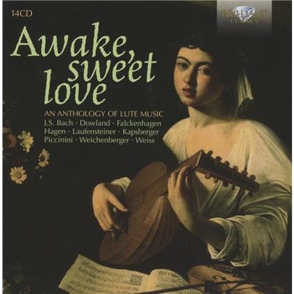Christopher Wilson - Awake, sweet love - Lautenmusik (14 CDs)