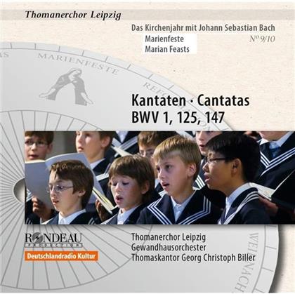 Thomanerchor Leipzig, Gewandhausorchester Leipzig, Johann Sebastian Bach (1685-1750) & Biller Georg Christoph - Kantaten Bwv 125,1,147