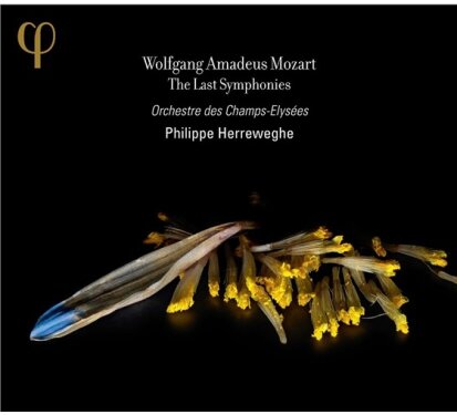 Orchestre Des Champs-Elysées, Wolfgang Amadeus Mozart (1756-1791) & Philippe Herreweghe - Sinfonie Nr39, 40 & 41 (2 CDs)