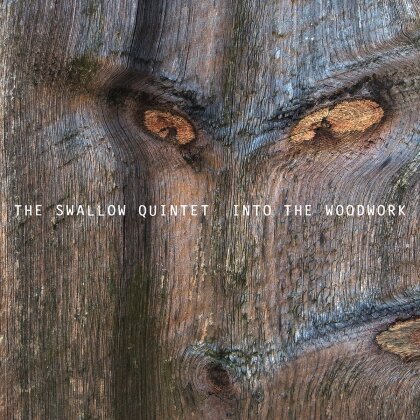 Steve Swallow - Into The Woodwork