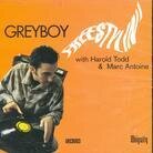 Greyboy - Freestylin (LP)