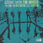 The Sonics - Introducing The Sonics (LP)