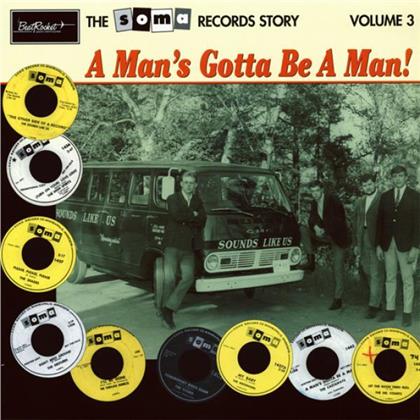 Various - Soma Records Story 3 (LP)