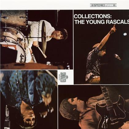 Young Rascals - Collections (LP)